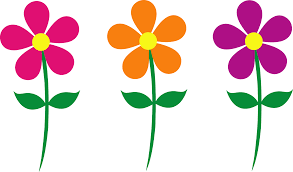  Spring Flowers